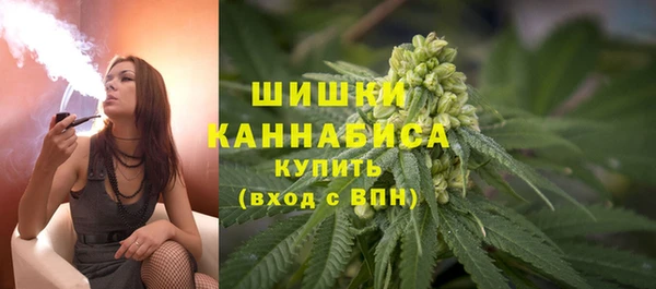 тгк Абаза