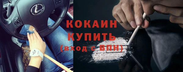 тгк Абаза