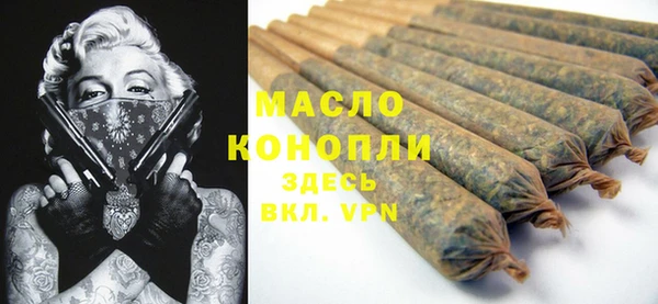 тгк Абаза
