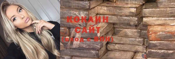 тгк Абаза