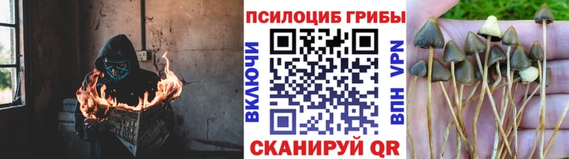 KRAKEN сайт  Слюдянка  Галлюциногенные грибы MAGIC MUSHROOMS 